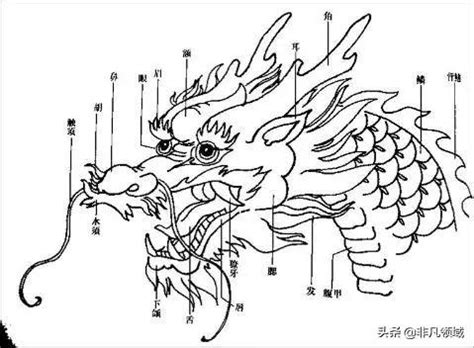 中國龍畫法|【中國龍畫法】中國龍畫法全攻略：手把手教你繪出神采飛揚的中。